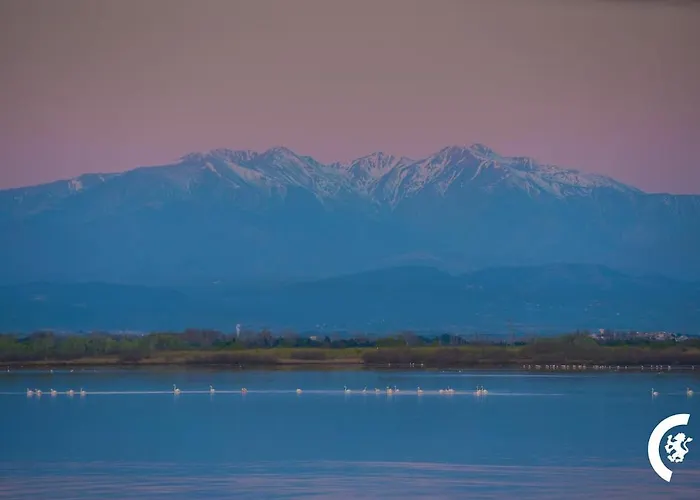4 People Canet-en-Roussillon